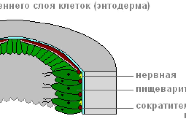 Кракен площадка vk2 top